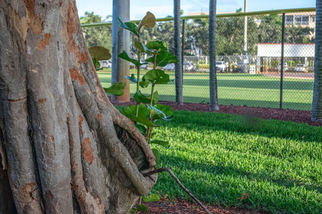 Memorial Park, Boca Raton, FL, July 2025. (Photo: Boca Daily News)
