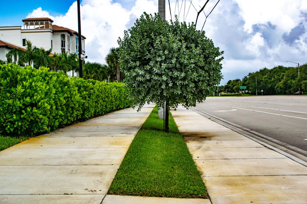 'Double sidewalks' along Yamato Road, Boca Raton, FL, Sept. 2024. (Photo: Boca Daily News)