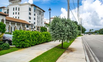 'Double sidewalks' along Yamato Road, Boca Raton, FL, Sept. 2024. (Photo: Boca Daily News)