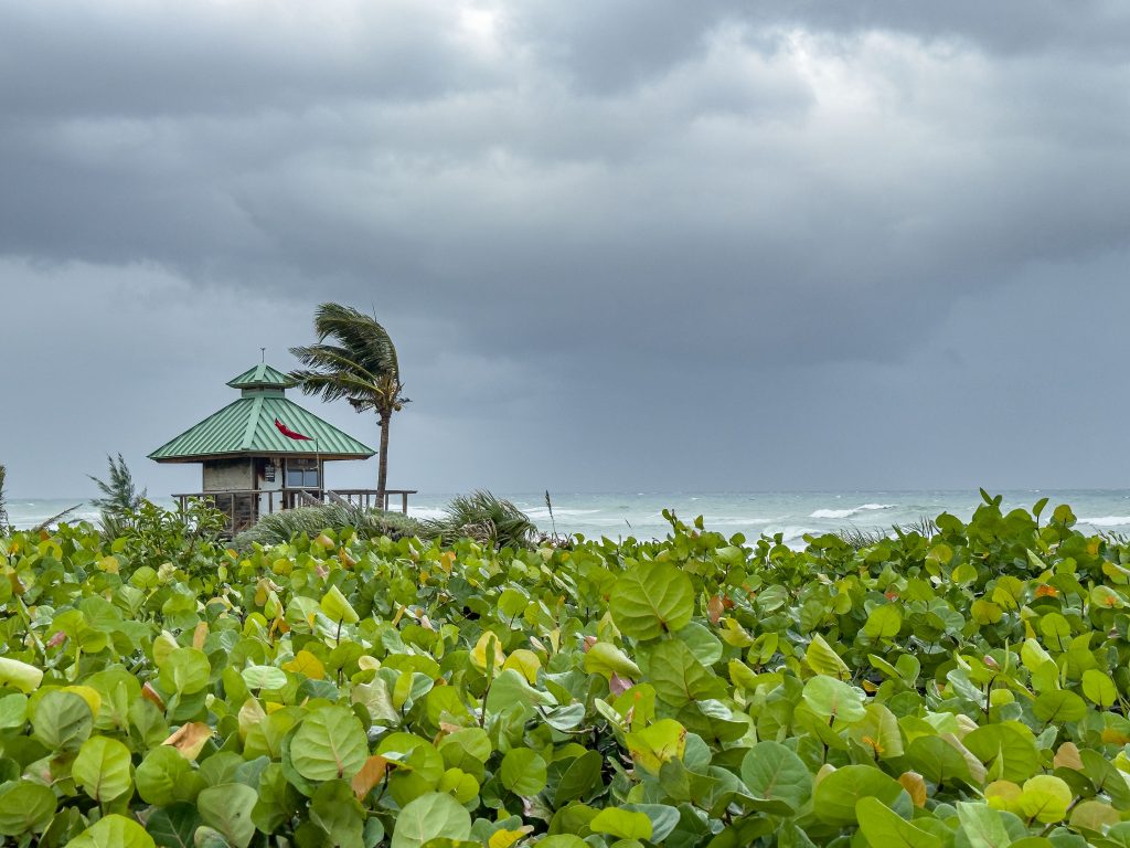 Rough surf generated by Hurricane Helene in Boca Raton, FL, Sept. 26, 2024. (Photo: Boca Daily News)