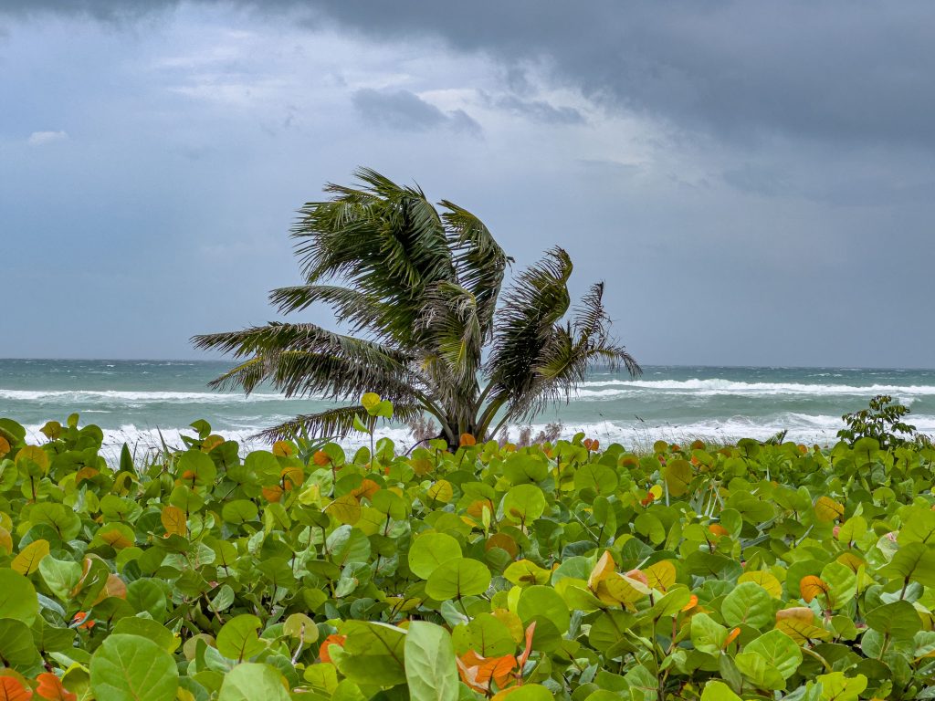 Rough surf generated by Hurricane Helene in Boca Raton, FL, Sept. 26, 2024. (Photo: Boca Daily News)