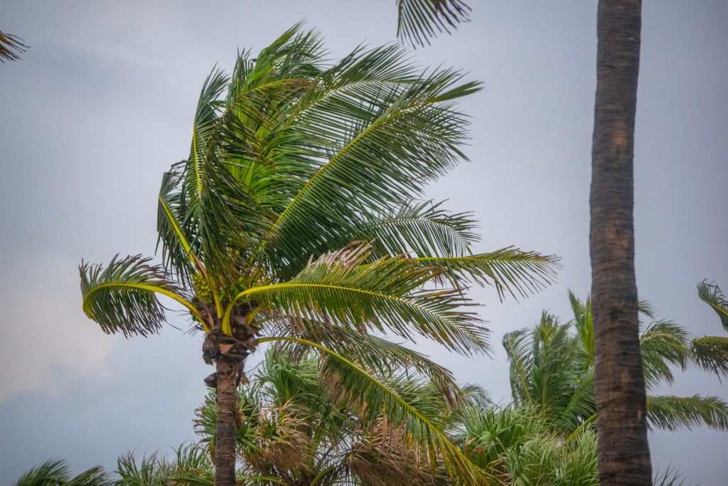 Rough surf conditions in Deerfield Beach, FL, Oct. 20, 2024. (Photo: Boca Daily News)