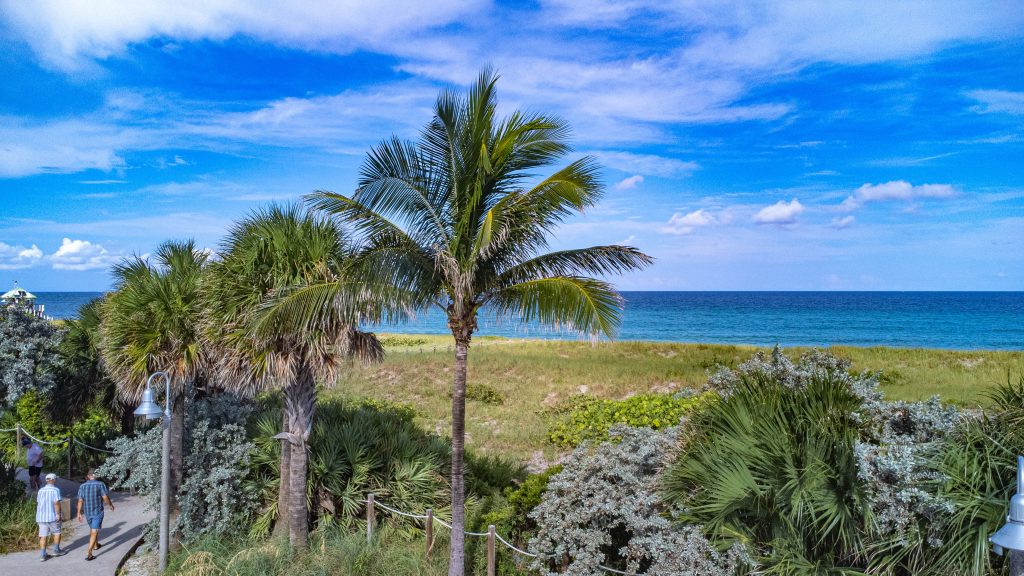 Delray Beach oceanfront, Oct. 2024. (Photo: Boca Daily News)