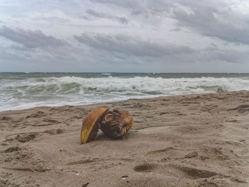 Wind and rough surf whipped up by Hurricane Milton move into Palm Beach and Broward counties in South Florida, Oct. 9, 2024. (Photo: Boca Daily News)