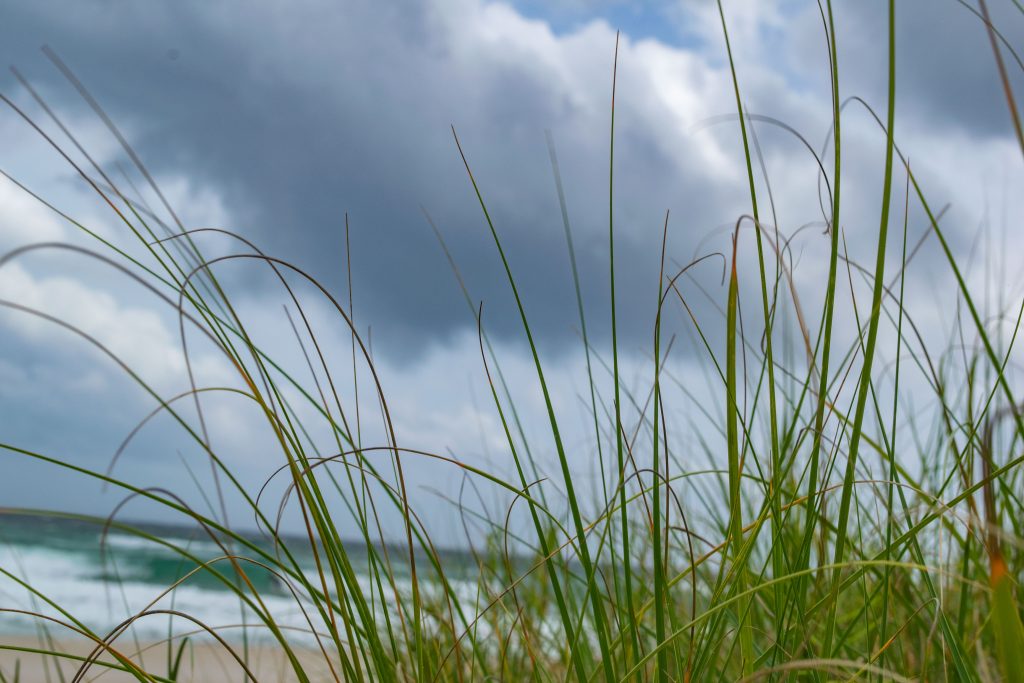 Wind and rough surf whipped up by Hurricane Milton move into Palm Beach and Broward counties in South Florida, Oct. 9, 2024. (Photo: Boca Daily News)