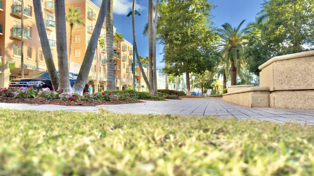 The median area of Mizner Park, Boca Raton, FL, Dec. 2024. (Photo: Boca Daily News)