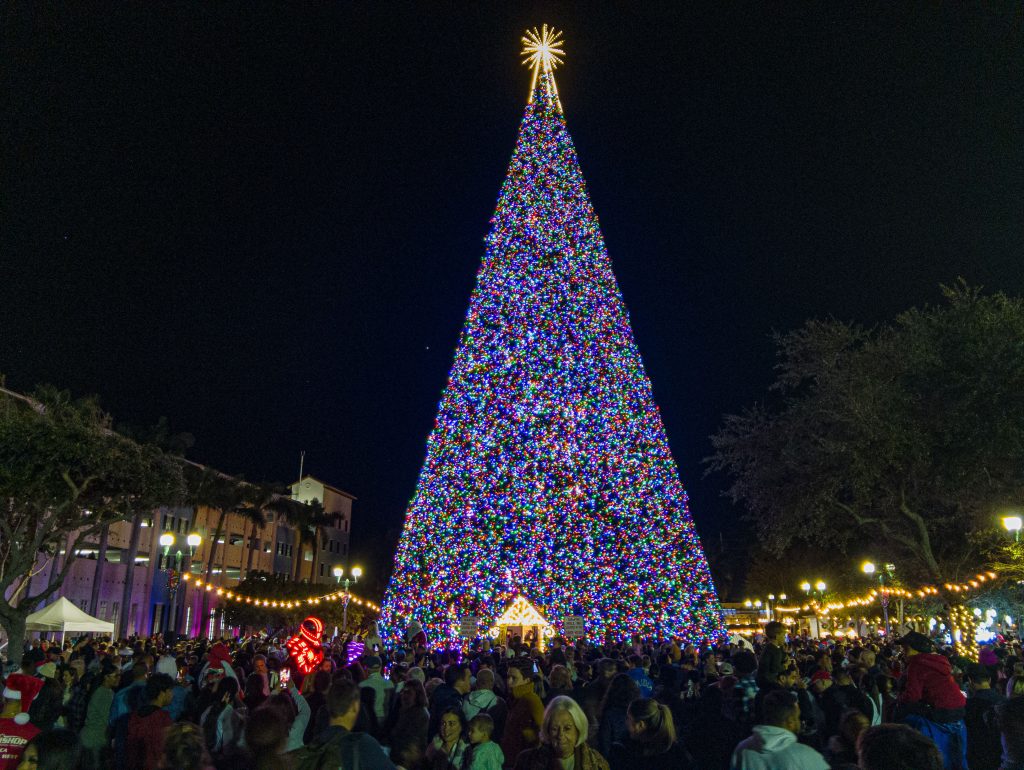 The lighting of the 2024 Delray Beach, FL 100-foot Christmas tree. (Photo: Boca Daily News)