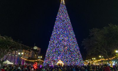 The lighting of the 2024 Delray Beach, FL 100-foot Christmas tree. (Photo: Boca Daily News)