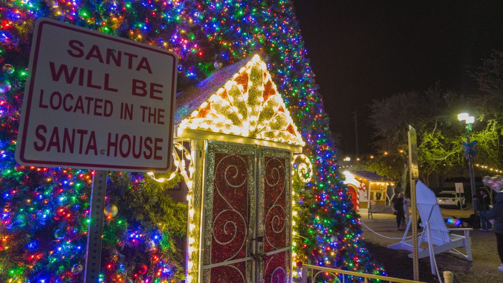 The lighting of the 2024 Delray Beach, FL 100-foot Christmas tree. (Photo: Boca Daily News)