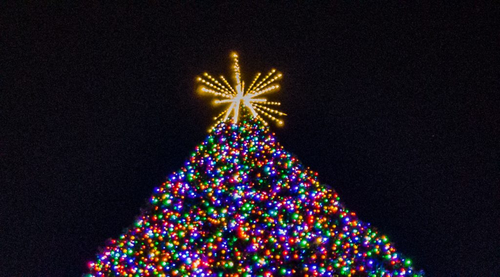 The lighting of the 2024 Delray Beach, FL 100-foot Christmas tree. (Photo: Boca Daily News)