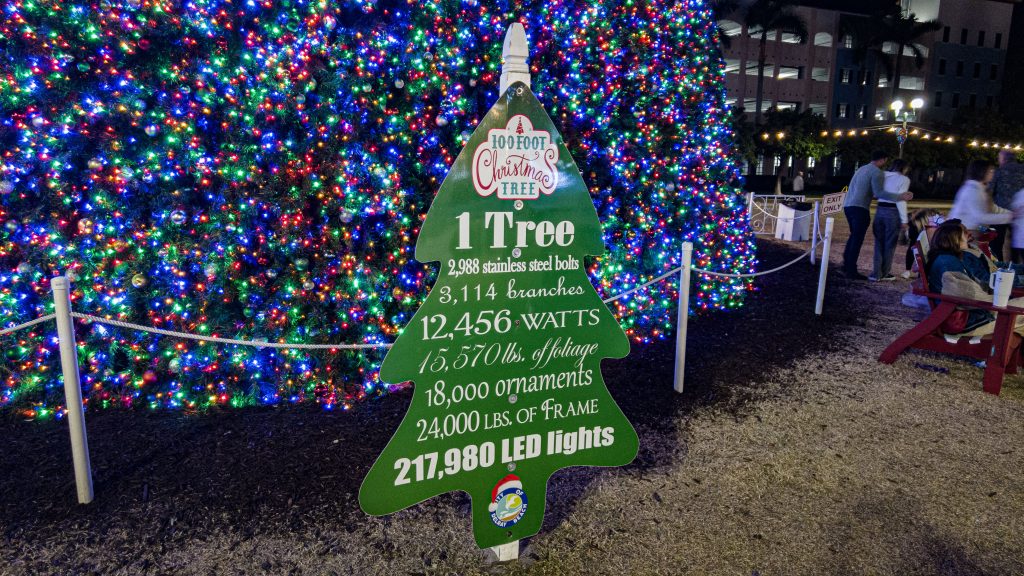 The lighting of the 2024 Delray Beach, FL 100-foot Christmas tree. (Photo: Boca Daily News)