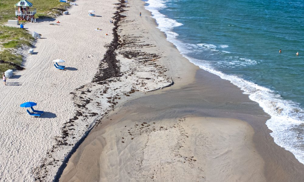 Waves and beach erosion in Boca Raton and Delray Beach, Fla. Aug, 19, 2025, as Hurricane Erin hovers offshore. (Photo: Boca Daily News)