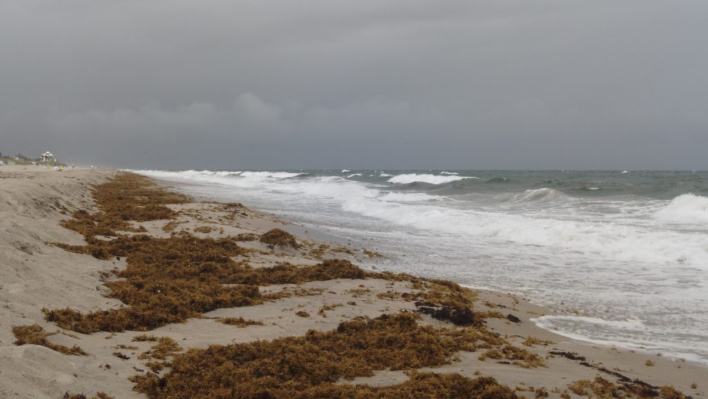 Waves whipped up by Tropical Storm Imelda at local beaches, Sept. 28, 2025. (Photo: Boca Daily News)