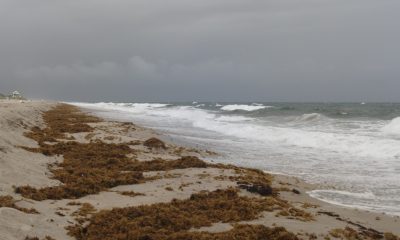 Waves whipped up by Tropical Storm Imelda at local beaches, Sept. 28, 2025. (Photo: Boca Daily News)