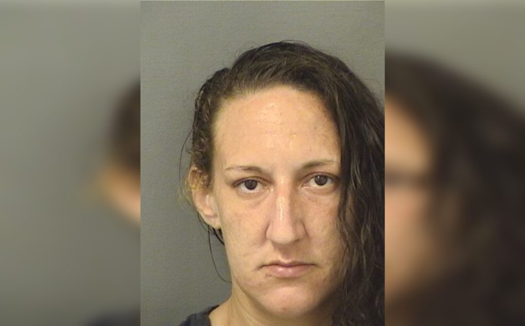 Amanda Lynn Farino (Photo: Palm Beach County Jail)