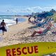 An eroded beach berm in Delray Beach, FL forces sunbathers into a small strip of sand in anticipation of a renourishment project, Oct. 2025. (Photo: Boca Daily News)