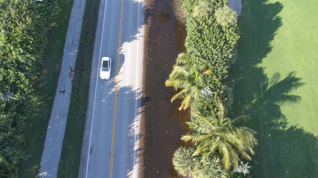 Flooding along North Ocean Boulevard (A1A) and the Alan C. Alford Red Reef Family Golf Course, Oct. 28, 2025. (Photo: Boca Daily News)