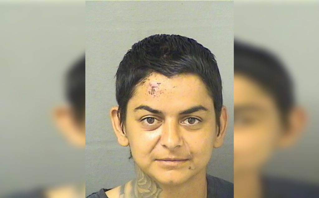 Jaimie Borys (Photo: Palm Beach County Jail)