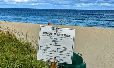 Boca Raton's 'Bark Beach.' (Photo: Boca Daily News)