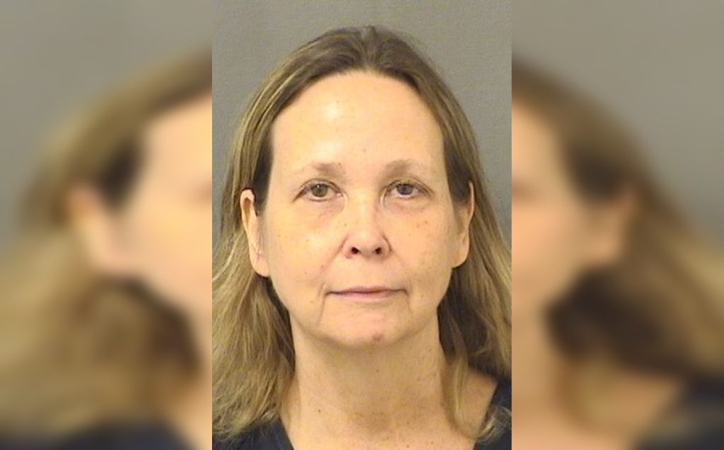 Veronica Karlsson (Photo: Palm Beach County Jail)