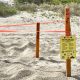 A sea turtle nest marked near Sweetwater Lane on the oceanfront in Boca Raton, FL, April 1, 2026. (Photo: Boca Daily News)