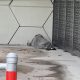 Homeless presence at Silver Palm Park, Boca Raton, FL. (Photo: Boca Daily News)