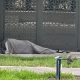 Homeless presence at Silver Palm Park, Boca Raton, FL. (Photo: Boca Daily News)