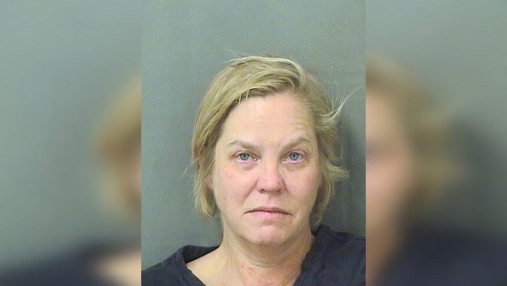 Allison Elsa Inberg (Photo: Palm Beach County Jail)
