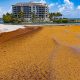 Sargassum shuts down swimming at South Inlet Park Beach, Boca Raton, FL, May 22, 2026. (Photo: Boca Daily News)