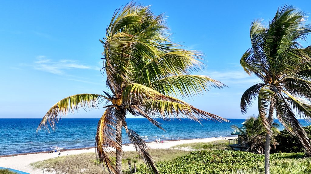 Spanish River Park is designated a 'Blue Flag' beach – one of few in America. (Photo: Boca Daily News)