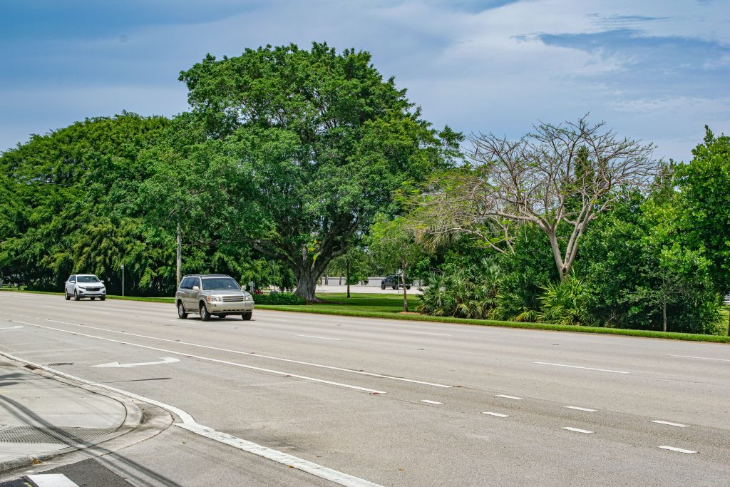 Landscaping along Federal Highway (US-1) in the southernmost portion of Boca Raton, May 2026. (Photo: Boca Daily News)