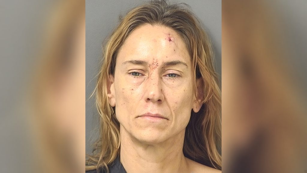 Allison Laga (Photo: Palm Beach County Jail)